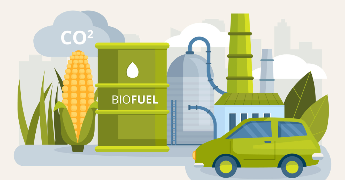 Biodiesel: Overview, Production Process, and Benefits