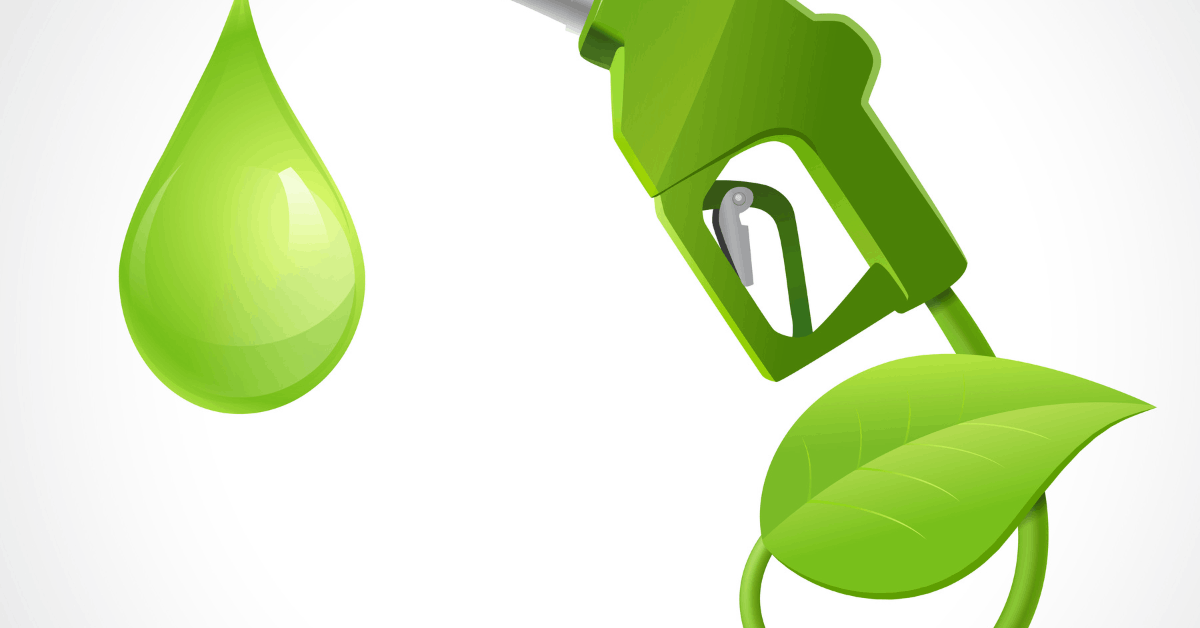 Green Fuel - all you need to know